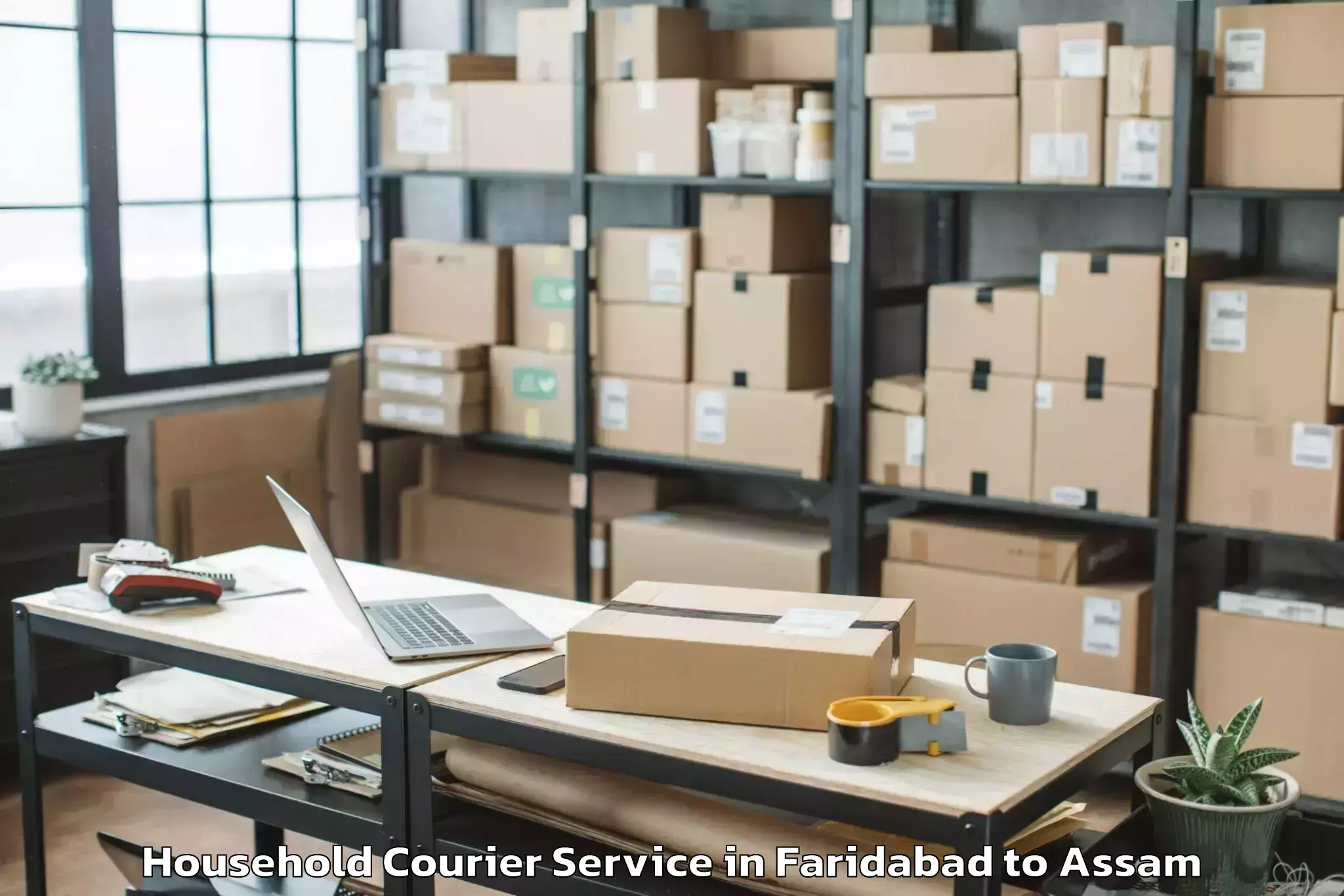 Trusted Faridabad to Lumding Household Courier